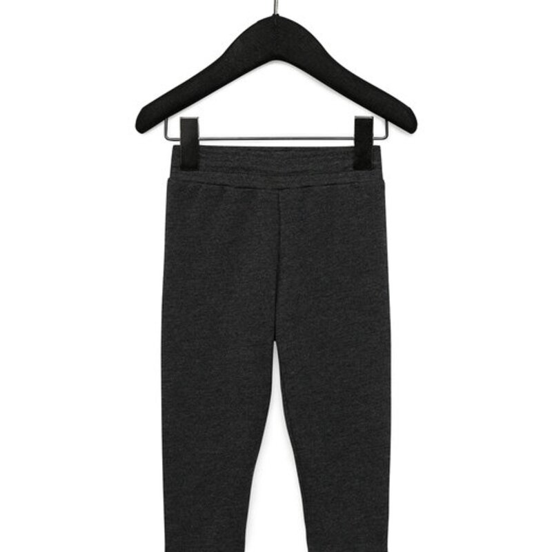 Toddler Sponge Fleece Jogger Sweatpant Thumbnail