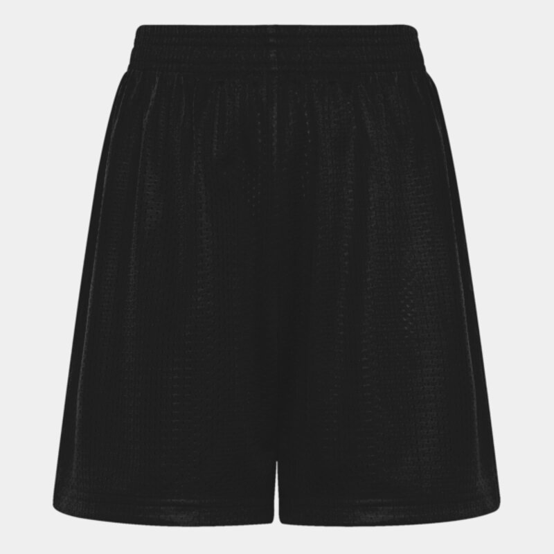 ATC™ PRO CLUB 5” MESH YOUTH SHORTS Thumbnail