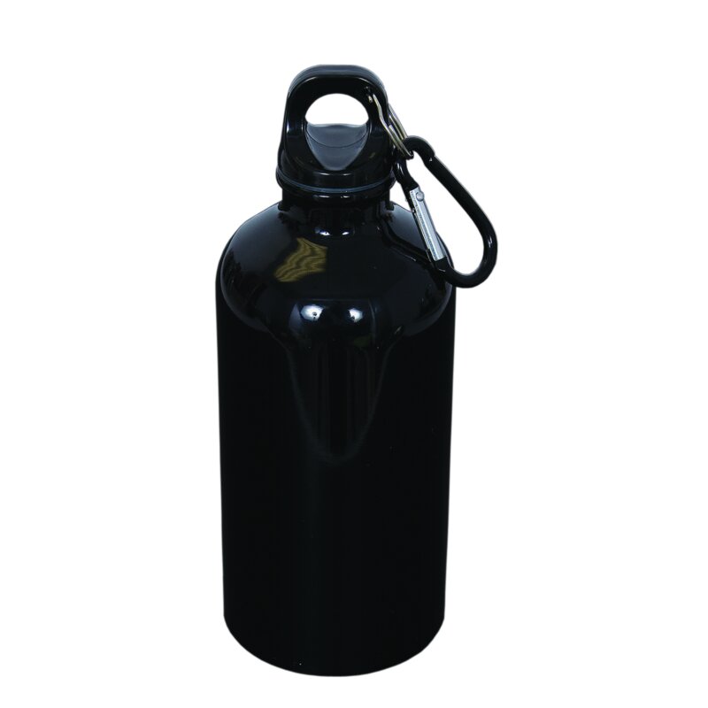 500 ML (17 FL. OZ.) STAINLESS STEEL BOTTLE WITH CARABINER Thumbnail